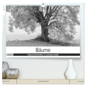 Bäume - Naturschönheiten in schwarz-weiß (hochwertiger Premium Wandkalender 2025 DIN A2 quer), Kunstdruck in Hochglanz