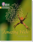 Amazing Webs
