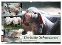 Tierische Schweinerei (Wandkalender 2025 DIN A2 quer), CALVENDO Monatskalender