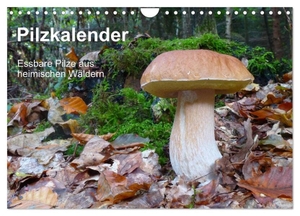 Bindig, Rudolf. Pilzkalender (Wandkalender 2024 DIN A4 quer), CALVENDO Monatskalender - Essbare Pilze aus heimischen Wäldern im Jahresablauf. Calvendo, 2023.