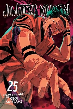 Akutami, Gege. Jujutsu Kaisen, Vol. 25. Simon & Schuster UK Ltd, 2025.
