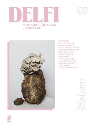 Aydemir, Fatma / Hengameh Yaghoobifarah et al (Hrsg.). Delfi Sieben - Magazin für neue Literatur | Sie glaubten etwa, Literaturzeitschriften wären tot?. Claassen-Verlag, 2026.