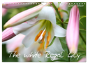 The white Regal Lily (Wall Calendar 2024 DIN A4 landscape), CALVENDO 12 Month Wall Calendar