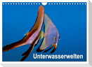 Unterwasserwelten (Wandkalender 2025 DIN A4 quer), CALVENDO Monatskalender