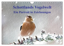 Schottlands Vogelwelt - Ein Porträt in Zeichnungen (Wandkalender 2025 DIN A4 quer), CALVENDO Monatskalender