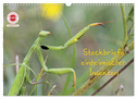GEOclick Lernkalender: Insekten (Wandkalender 2024 DIN A3 quer), CALVENDO Monatskalender