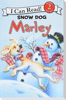 Marley: Snow Dog Marley