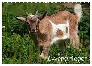 Klatt, Arno. Zwergziegen (Wandkalender 2024 DIN A2 quer), CALVENDO Monatskalender - Die wohl bekannteste Ziege. Calvendo Verlag, 2023.