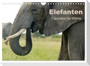 Elefanten - Faszination der Wildnis (Wandkalender 2025 DIN A4 quer), CALVENDO Monatskalender