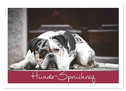 Hunde-Spruchreif (Wandkalender 2025 DIN A2 quer), CALVENDO Monatskalender