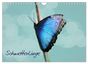 Schmetterlinge (Wandkalender 2024 DIN A4 quer), CALVENDO Monatskalender