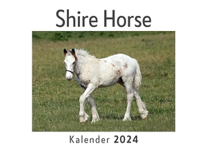 Müller, Anna. Shire Horse (Wandkalender 2024, Kalender DIN A4 quer, Monatskalender im Querformat mit Kalendarium, Das perfekte Geschenk). 27amigos, 2023.