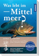 Was lebt im Mittelmeer?