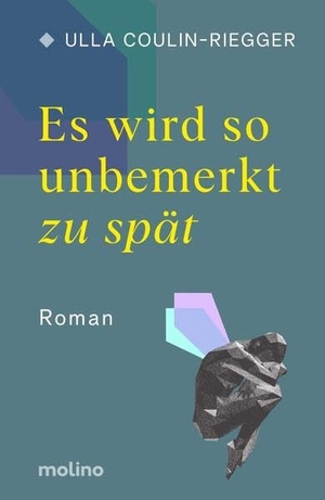 Coulin-Riegger, Ulla. Es wird so unbemerkt zu spät - Roman. Molino Verlag GmbH, 2023.