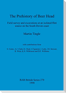 The Prehistory of Beer Head
