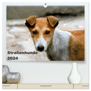 Bakker, Antje. Straßenhunde (hochwertiger Premium Wandkalender 2024 DIN A2 quer), Kunstdruck in Hochglanz - Hunde, die in Indien auf der Straße leben. Calvendo Verlag, 2023.