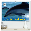 Delfine und Wale (hochwertiger Premium Wandkalender 2025 DIN A2 quer), Kunstdruck in Hochglanz