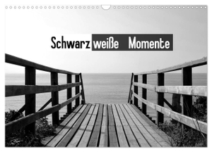 Hummelmann, Benno. Schwarzweiße Momente (Wandkalender 2024 DIN A3 quer), CALVENDO Monatskalender - 12 Landschaft- und Naturbilder in schwarzweiß. Calvendo Verlag, 2023.