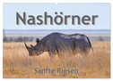 Nashörner - Sanfte Riesen (Wandkalender 2025 DIN A2 quer), CALVENDO Monatskalender