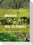 Moose der Schweiz
