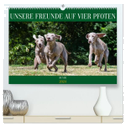 Unsere Freunde auf vier Pfoten - Hunde (hochwertiger Premium Wandkalender 2024 DIN A2 quer), Kunstdruck in Hochglanz