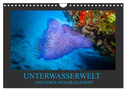 Unterwasserwelt - Das Leben am Korallenriff (Wandkalender 2025 DIN A4 quer), CALVENDO Monatskalender