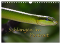 Schlangen im Portrait (Wandkalender 2024 DIN A4 quer), CALVENDO Monatskalender