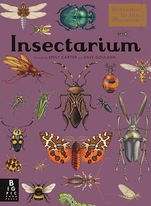Goulson, Dave. Insectarium - Welcome to the Museum (an Illustrated Junior Entomology Guide to Wild Bug Species, Biodiversity, and Nature Conservation for Kids Ages 8-12). Candlewick Press (MA), 2025.