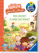 Wieso? Weshalb? Warum? Meine Vorlesegeschichten, Band 2 - Was passiert in Wald und Wiese?