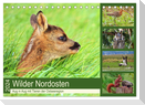 Wilder Nordosten - Aug in Aug mit Tieren der Ostseeregion (Tischkalender 2024 DIN A5 quer), CALVENDO Monatskalender