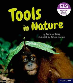 Casey, Catherine. Essential Letters and Sounds: Essential Phonic Readers: Oxford Reading Level 6: Tools in Nature. Oxford University Press, 2023.