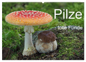 Pilze - tolle Funde (Wandkalender 2024 DIN A2 quer), CALVENDO Monatskalender