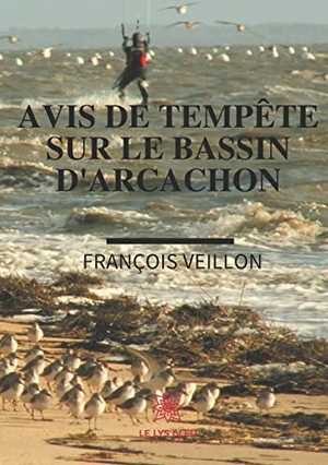 Veillon, François. Avis de tempête sur le bassin d'Arcachon. Le Lys Bleu, 2019.