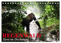 Regenwald ¿ Tiere im Dschungel (Tischkalender 2025 DIN A5 quer), CALVENDO Monatskalender