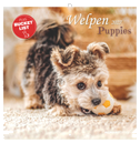 Welpen 2027