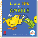 Ciencias sociales, 5 primaria