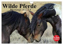 Wilde Pferde. Mustangs in USA (Wandkalender 2025 DIN A4 quer), CALVENDO Monatskalender