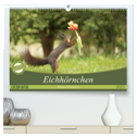 Eichhörnchen - Kleine Fotostars (hochwertiger Premium Wandkalender 2025 DIN A2 quer), Kunstdruck in Hochglanz