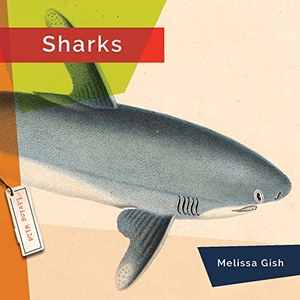 Gish, Melissa. Sharks. Amicus, 2023.