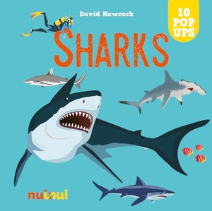Hawcock, David. Sharks. nuinui, 2024.