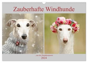 Köntopp, Kathrin. Zauberhafte Windhunde (Wandkalender 2024 DIN A3 quer), CALVENDO Monatskalender - ....mit den langen Nasen durch das Jahr.. Calvendo, 2023.