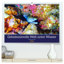 Geheimnisvolle Welt unter Wasser - Nachts am Riff (hochwertiger Premium Wandkalender 2024 DIN A2 quer), Kunstdruck in Hochglanz