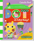 Is Dot in the Hay?