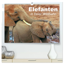 Elefanten in freier Wildbahn (hochwertiger Premium Wandkalender 2025 DIN A2 quer), Kunstdruck in Hochglanz