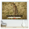 Faszination Grosskatzen gemalt in Öl (hochwertiger Premium Wandkalender 2024 DIN A2 quer), Kunstdruck in Hochglanz