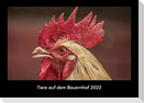Tiere auf dem Bauernhof 2022 Fotokalender DIN A3