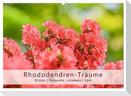 Rhododendren-Träume, Blüten, Romantik, Azaleen, Edel (Wandkalender 2024 DIN A2 quer), CALVENDO Monatskalender