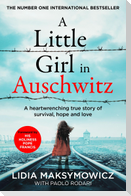 A Little Girl in Auschwitz