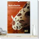 Nacktschnecken - Unterwasserwelt 2023 (Premium, hochwertiger DIN A2 Wandkalender 2023, Kunstdruck in Hochglanz)
