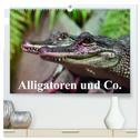 Alligatoren und Co. (hochwertiger Premium Wandkalender 2024 DIN A2 quer), Kunstdruck in Hochglanz